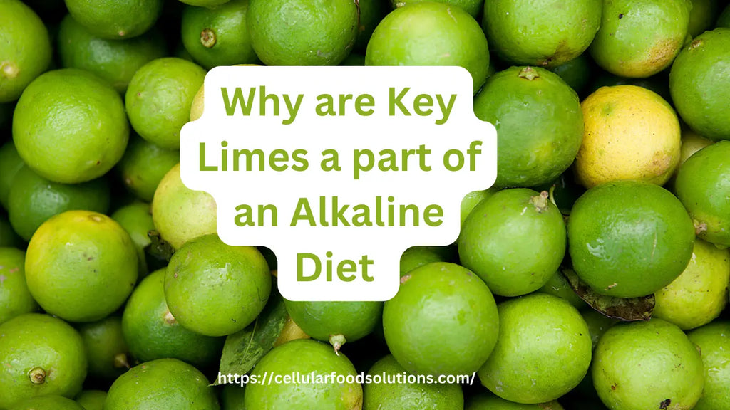 Why are Key Limes a part of an Alkaline Diet Best Guide drsebiwebsite
