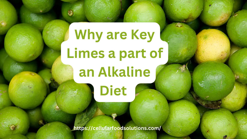 Why are Key Limes a part of an Alkaline Diet | Best Guide